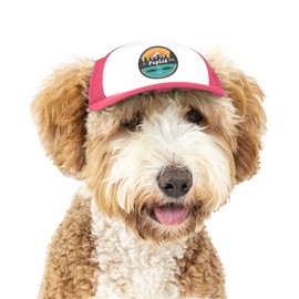 Sunset Collection, PupLid Trucker Hats for Dogs (Small) Premium Stylish Sun Protection for The Modern Dog - Adjustable for Secure Comfortable Fit on Active Dogs (Pink, All-Terrain)