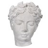 A&B Home Classic Visage Greek Goddess Cement Wall Planter Outdoor