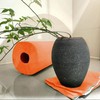 Paper Towel Jumbo Roll 2 Ply 120 Highly Absorbent Sheets