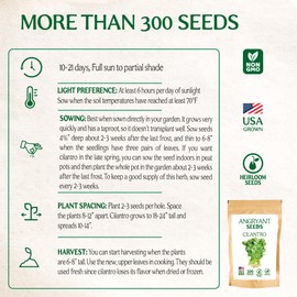 Cilantro Seeds for Planting Herb Garden - Heirloom, Non-GMO Seeds - 100% USA Grown - Easy to Grow - Pack Includes 300 Seeds Suitable for Indoors, Outdoors and Hydroponic - High Germination Rate