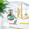 2 Pcs Natural Coconut Shell Bird Nest House Bed Breeding