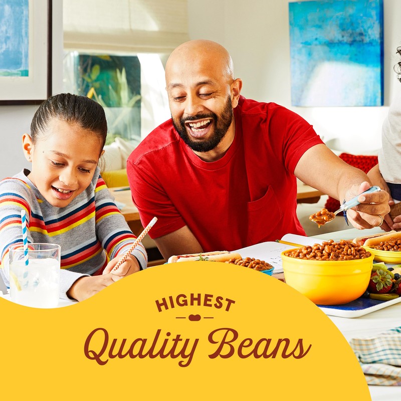 BUSH'S BEST 16 oz Canned Onion Baked Beans, Source of