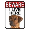 SHAWPRINT BEWARE I LIVE HERE METAL GATE SIGN RHODESIAN RIDGEBACK