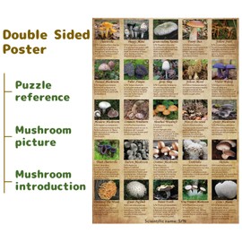Vintage Mushroom Puzzle 1000 Pieces for Adult, Vintage Fungi Jigsaw Puzzle of 25 Edible Mushrooms, Champignons Plant Puzzle as Gifts for Mycophile