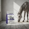 Galope Zen 20kg Proteínas Para Caballos Deportivos