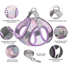 Benala No Pull Harness Leash Set for Dogs Cats - Step in Mesh Lightweight Harness Vest Adjustable- Reflective Easy Walk Harness for Small Pets,Purple,M