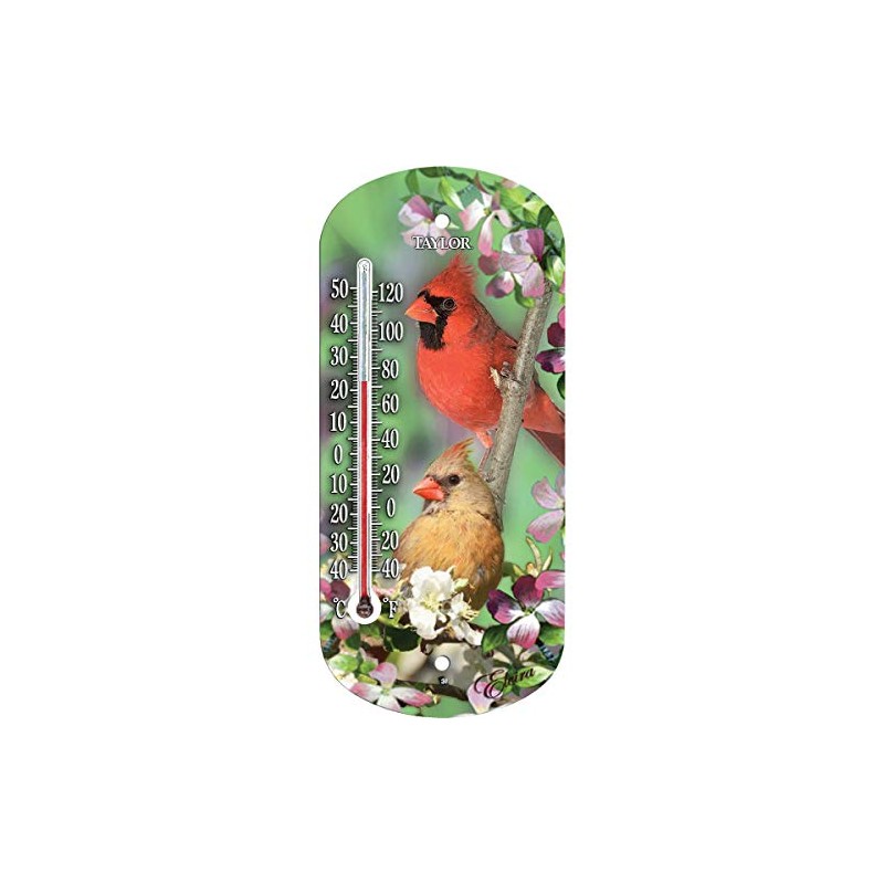 Taylor Cardinal Window Thermometer