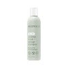 EcoTools - Shampoo Limpiador para Brochas y Esponjas de Maquillaje,