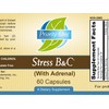 Priority One Vitamins Stress B & C 60 Capsules -