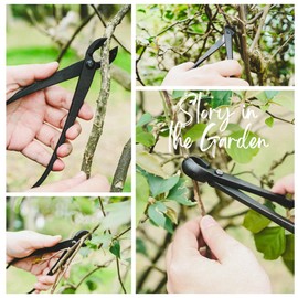 15-Piece Bonsai Tree Kit, Bonsai Tool Set, Bonsai Starter Kit, Carbon Steel Scissors, Cutter Shears, Rake with Spatula, Perfect Gardening Trimming Pruning Tools