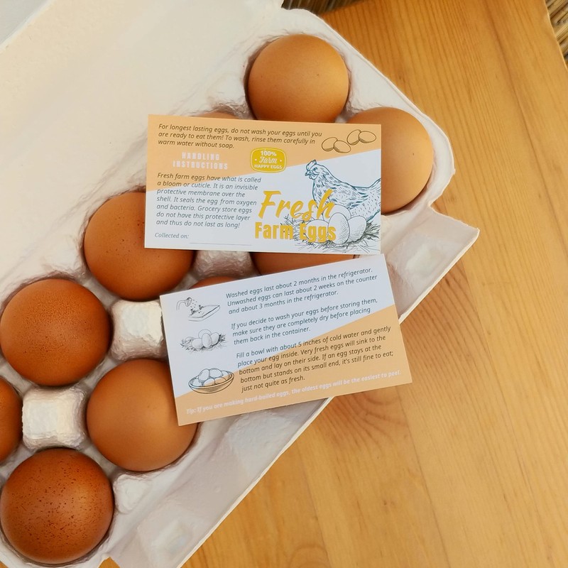 Havongki 100pcs Premium Fresh Farm Eggs Handling Care Instructions Cards