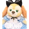 Alice Teddy Bear Mail Order Cookie Anne Clothes Costume Alice