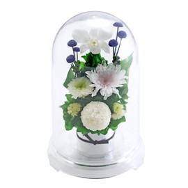Art Four Season ◎Offering Mom Dome Preserved Flower (White)