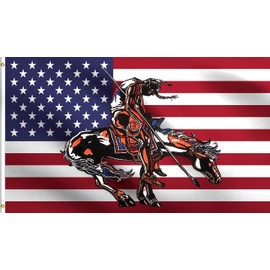 DMSE End of Trail American Indian Native USA Flag 3X5 Ft Foot 100% Polyester 100D Flag UV Resistant (3' X 5' Ft Foot)
