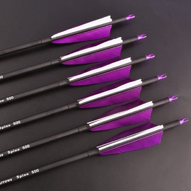 ZSHJGJR 30 Inch Archery Carbon Arrows Hunting Arrows with 4” Turkey Feather Target Practice Arrows Spine 500 for Compound & Recurve &Traditional Bow 6/12pcs (Purple, 12pcs Arrows)