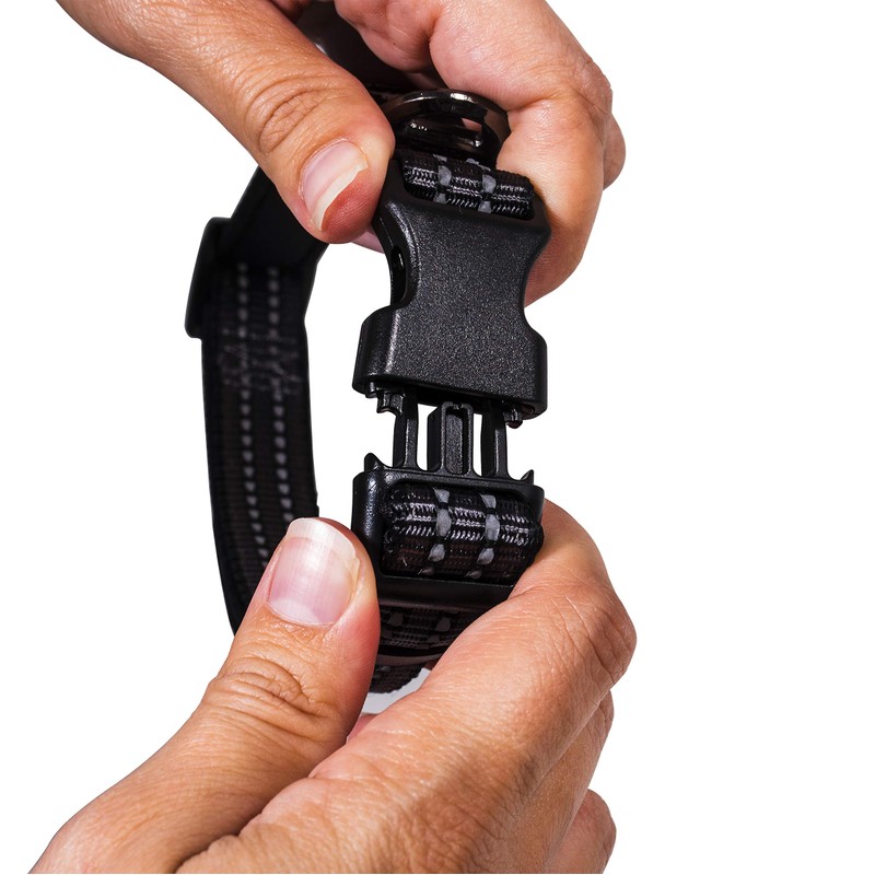 Franklin Sports Nylon Dog Collar – Reflective – Franklin Pet