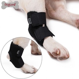 Dog Knee & Patella Support Brace for Dislocation, Surgery Recovery, and Joint Correction - Suitable for Senior & Large Breeds Brace LX 2ea
