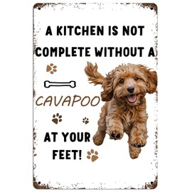 OVAcational Funny Cavapoo Kitchen Metal Signs,Funny Cavapoo Tin Sign,Cavapoo Decorative For Kitchen,Cavapoo Gifts For Women Dog Lover 8x12 Inch