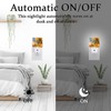 SLHFDKL Sea Beach Palm Tree Night Light, Plug-into Wall Life
