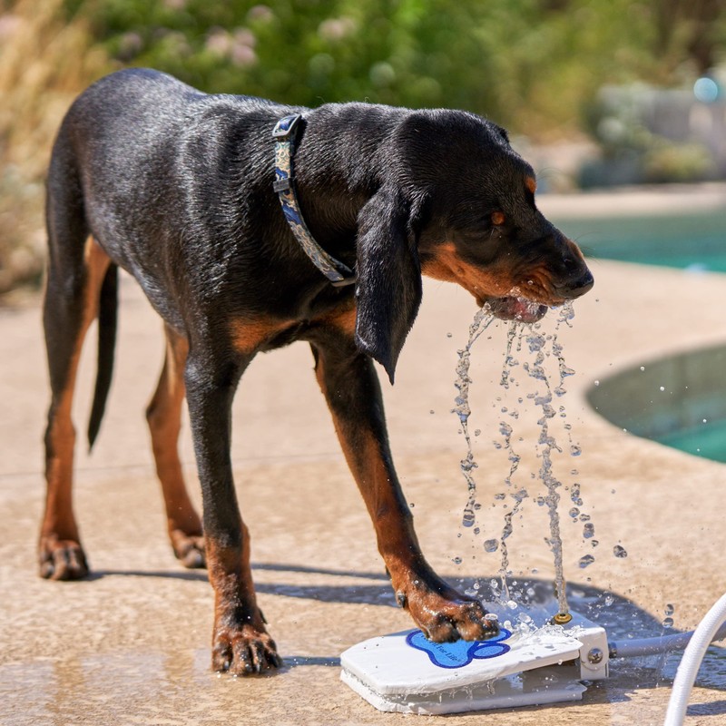 Pet Fit For Life Dog Pedal Water Fountain - Step-On