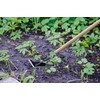 Rogue Scuffle Hoe high Grade Tempered Steel 60-inch Wooden Handle