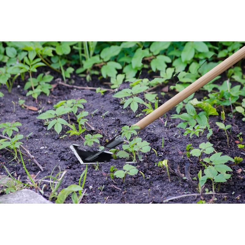 Rogue Scuffle Hoe high Grade Tempered Steel 60-inch Wooden Handle