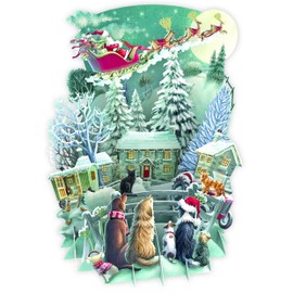 PAPER D'ART - IT'S SANTA - TOP OF THE WORLD CHRISTMAS CARD – XTW035