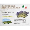 Piante Felici オーガニックコンディショナー モイスチャライジング スカルプ＆ヘア ＜ドライヘア用＞Conditioner