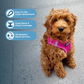 Best Pet Supplies Best Pet Supplies Voyager Step-in Air Dog Harness - All Weather Mesh, Reflective, No Pull Harness for Small, Medium Dogs, Cats - Secure with Hook & Loop Fastener, Buckle, Double D-Rings - Fuchsia, L