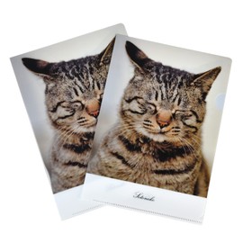 Pheasant Cat Clear File Photo A5 Size, Made in Japan, Set of 2, Pheasant Cat Mini