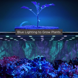 75W Plant Grow Light Bulb | Blue Grow Light | R30 Shape & E26 Base | High Output Grow Light | Ideal for Indoor Plants Seeds Veg and Flower | 10 Pack by GoodBulb