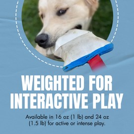 Calmr Dog Verve Interactive Toy – Soft, Durable & Fleece-Layered with Rubber Spine for Bounce – Water-Resistant – 16 oz (1 lb) for Active Dogs