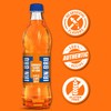 Irn-Bru Bottles, 16.9 Fl Oz (Pack of 12)