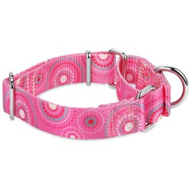 Dazzber Martingale Collars for Dogs, Adjustable, Heavy-Duty, Soft, Smooth, Easy Dog Walking, for Large/Small Dogs