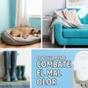 Febreze Ambientadores enchufables, resistentes y nítidos, eliminadores de olores, repuesto