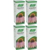 (4 PACK) - A Vogel - Echinaforce Drops | 100ml