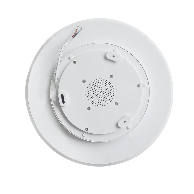 HOREVO RGB Flush Mount Light Fixture with Bluetooth Speaker, 24W