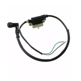 BMP Ignition Coil Module For Apollo ADR 125cc 125 DB007 Dirt Bike