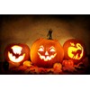 Pumpkin Masters Pumpkin Carving Kit 360 Degree Carving Kit