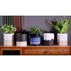Nihow Self Watering Plant Pot: 6 Inch Ceramic Planter with