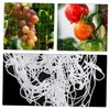 CIYODO Plant Trellis Netting Flexible Plant Support for Orchards Gardens