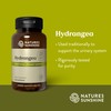 Nature's Sunshine Hydrangea, 100 Capsules, 650mg of Pure Hydrangea Root