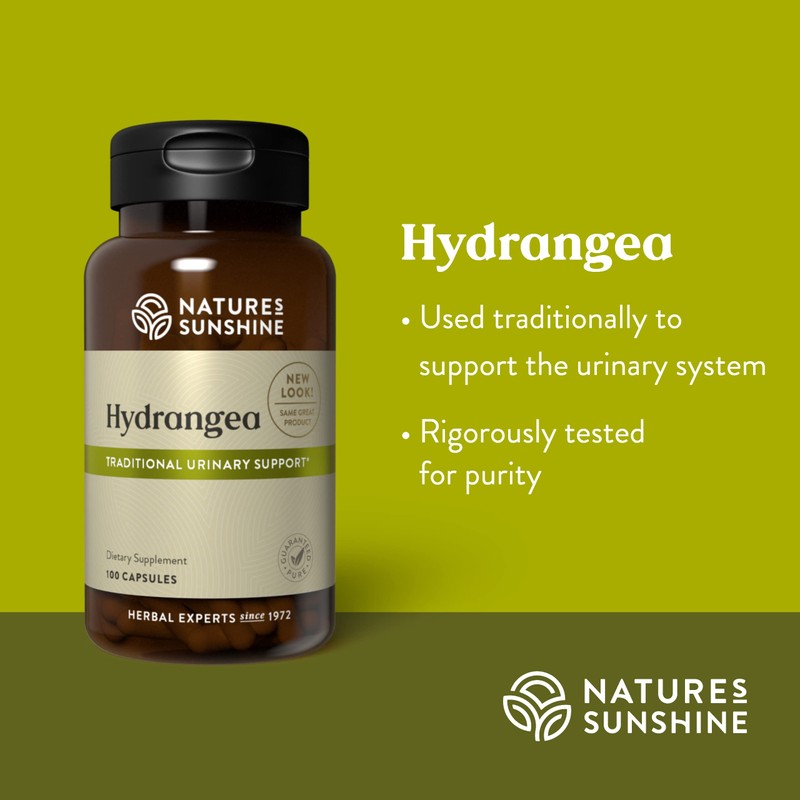 Nature's Sunshine Hydrangea, 100 Capsules, 650mg of Pure Hydrangea Root