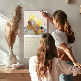 2026 Cockatiels Calendar - 16 Month 12x24 Monthly Wall Planner, Thick No-Bleed Paper, Large Grid, Giftable African Bird Calendar for Teachers, Home, Office, Made in USA