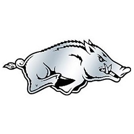 ProMark Arkansas Razorbacks Silver Animal Print Auto Emblem