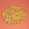 KINBOM 600pcs 8 x15mm Paper Fasteners Brads, Gold Round Head