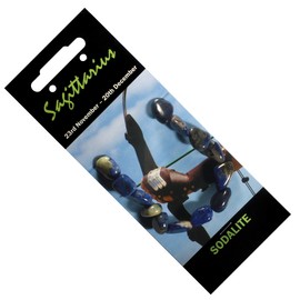 CrystalAge Sagittarius Birthstone Bracelet - Sodalite