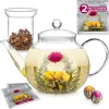 Teabloom Glass Teapot with Infuser and 2 Blooming Teas Stovetop