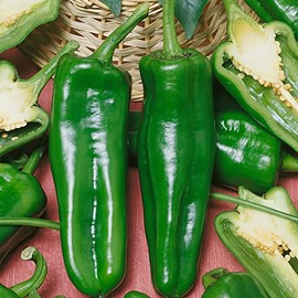 Pepperoncini Pickling F1 Hybrid Sweet Pepper Seeds - 0.25 Oz ~1000 Seeds - Non-GMO, F1 Hybrid - Vegetable Garden - Capsicum annuum