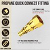 VIEAUBE 1/4'' RV Propane Quick Connect Fittings to 3/8' Female